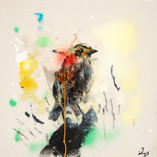 Drop Cloth Birds #6 by Daniel St-Amant