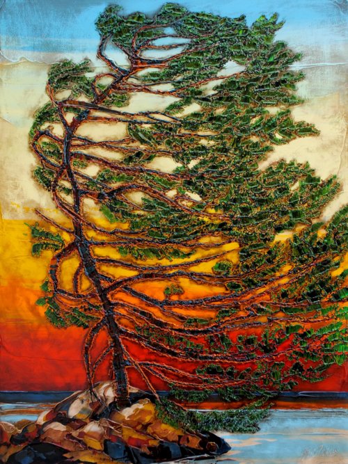 Majestic Pine by Steve Tracy