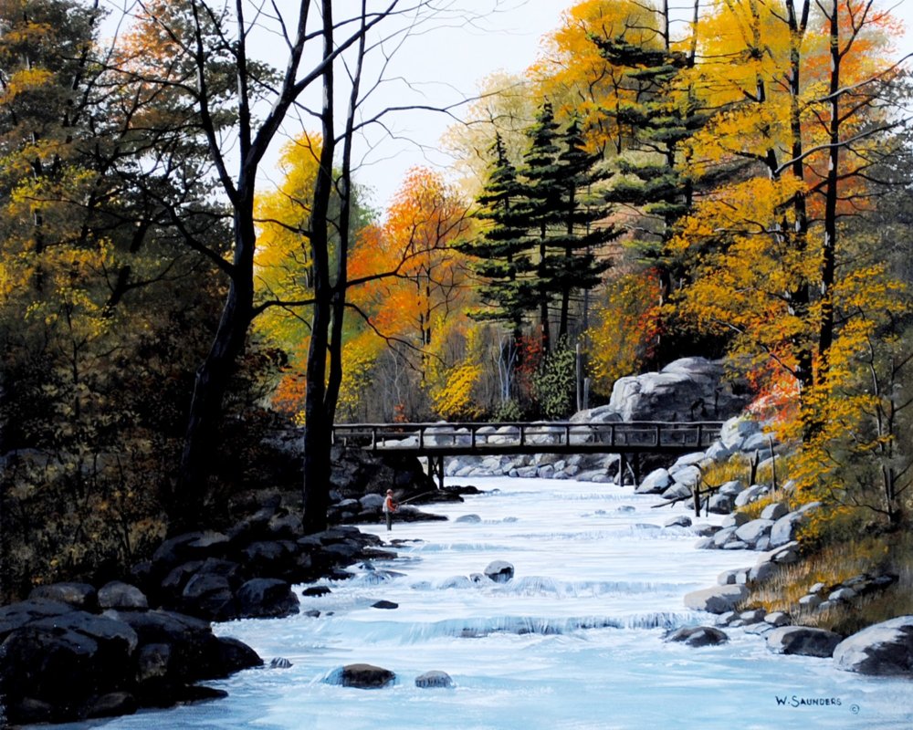 Walking Bridge by Bill Saunders