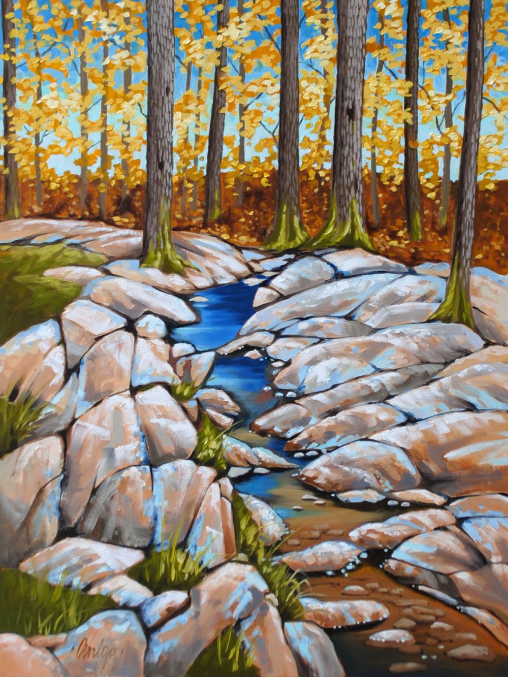 Ontario Rocks by Bob Arrigo