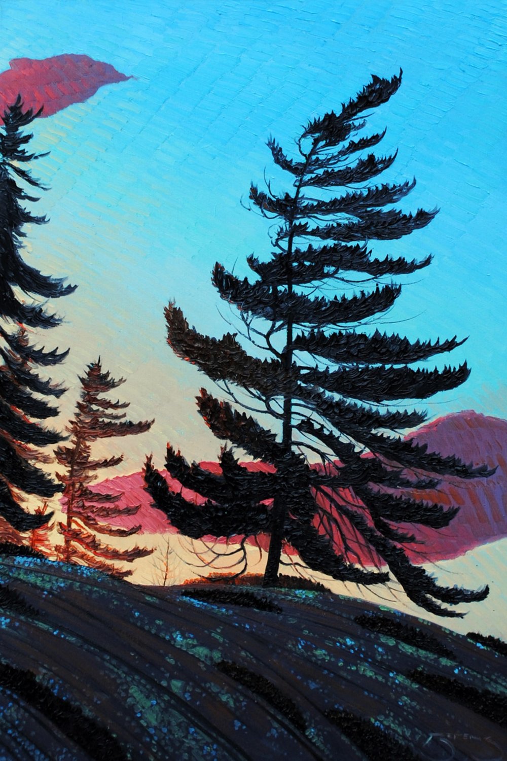 Canoe Lake Pine by Mark Berens