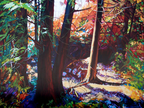 Light In The Forest by John Lightfoot