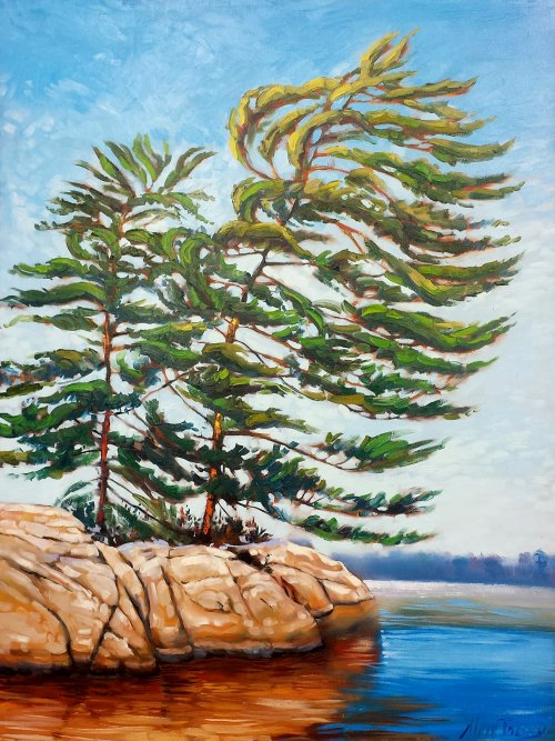 Granite Pines by Steve Tracy