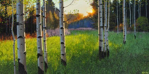 Morning Aspens by Cyril Cox
