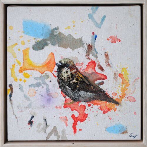 Drop Cloth Birds #12 by Daniel St-Amant