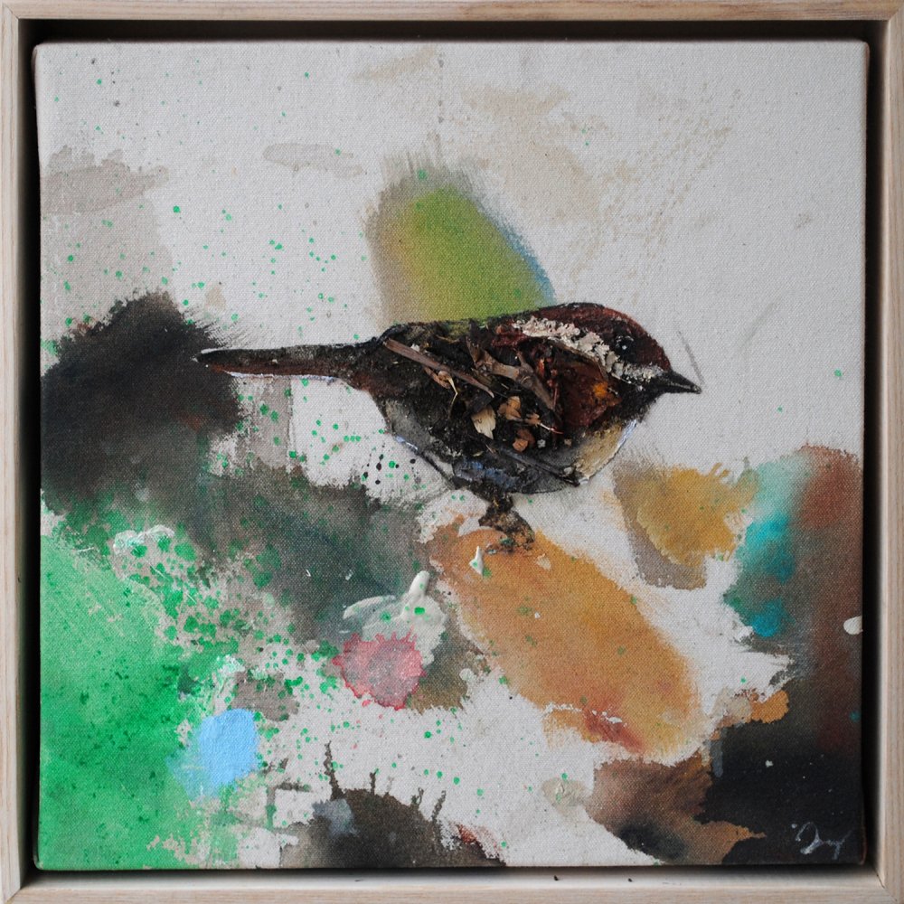 Drop Cloth Birds #15 by Daniel St-Amant
