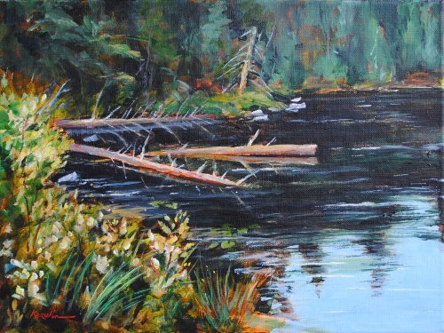 Beaver Lake (algonquin) by Tom Kerwin