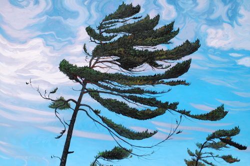 Killbear Pine Tree by Mark Berens