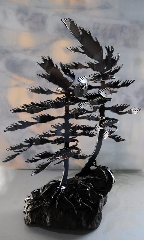 Windswept Pine On Black Rock by Cathy Mark
