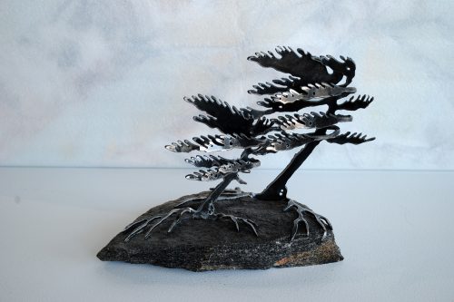 Windswept Pine On Stone by Cathy Mark