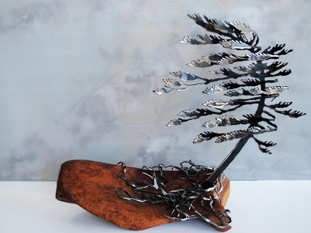 Windswept Pine On Cherry Wood by Cathy Mark
