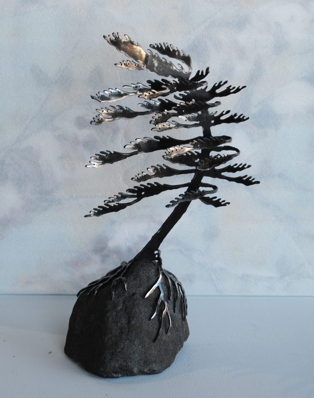 Windswept Pine On Black Stone by Cathy Mark