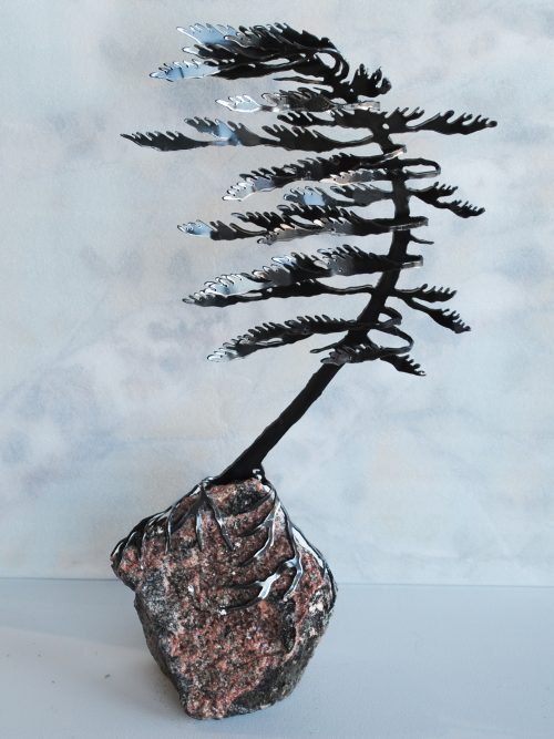 Windswept Pine On Stone by Cathy Mark