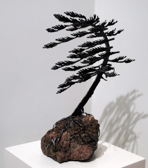 Windswept Pine (one) On Stone (19x9x6) by Cathy Mark
