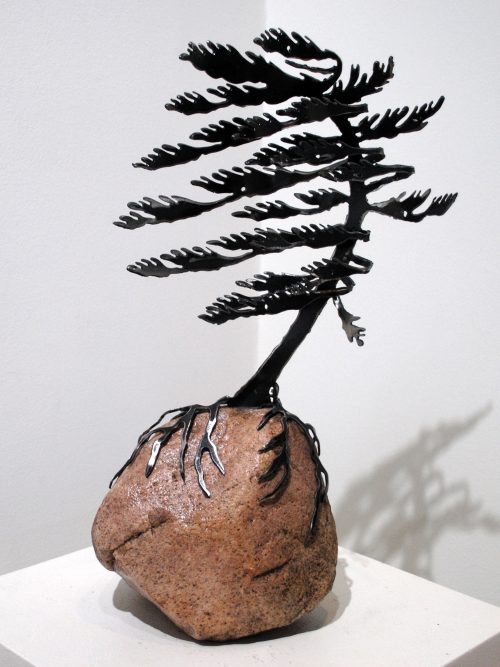 Windswept Pine (one) On Stone (18x8x6) by Cathy Mark