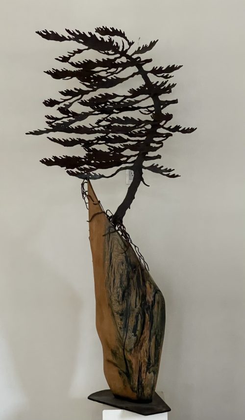 Windswept Pine (single) On Red Oak (72x33x13) by Cathy Mark