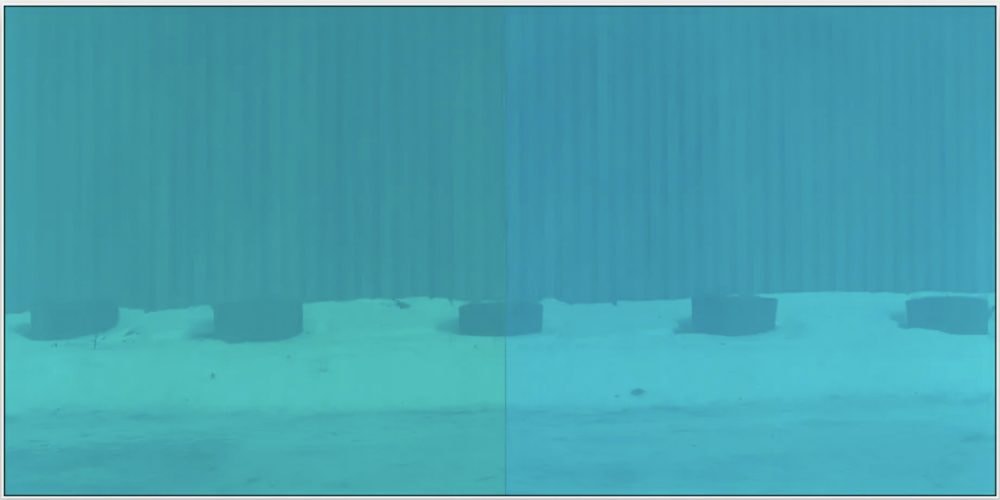 Ornaments Ii by Max Wright