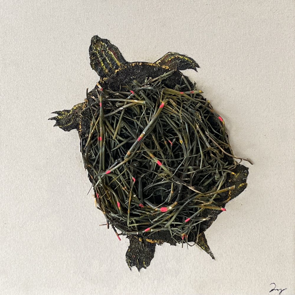 Nest Turtle by Daniel St-Amant