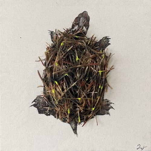 Nest Turtle by Daniel St-Amant