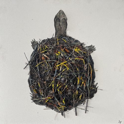 Nest Turtle by Daniel St-Amant