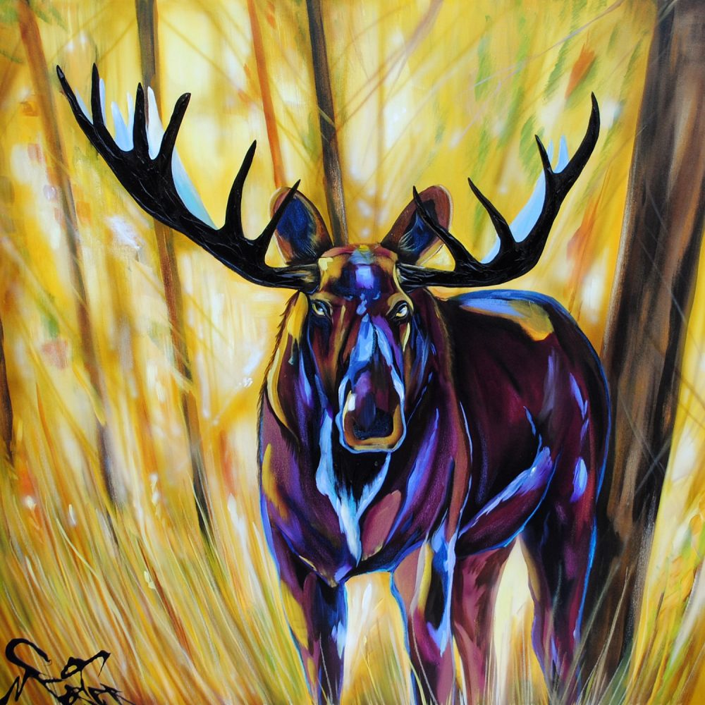 Moose by Brian Porter