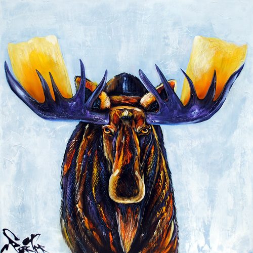 Moose by Brian Porter