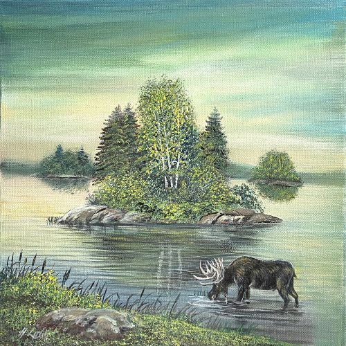 Moose In Algonquin by Henri Lobo