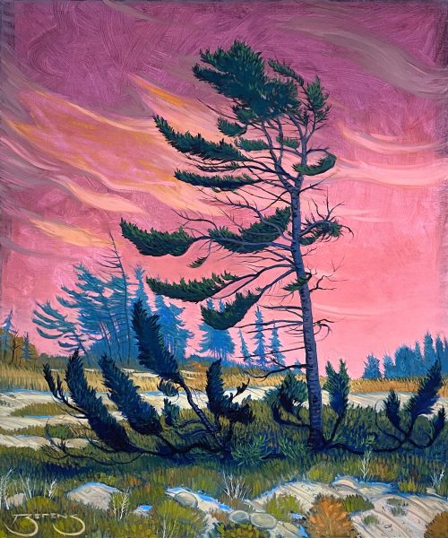 Daet Island Pine by Mark Berens