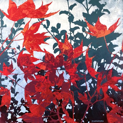 Red Maple 1 by Judy Willemsma