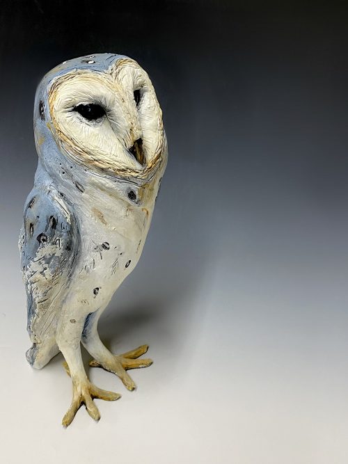 Barn Owl by Mary Philpott