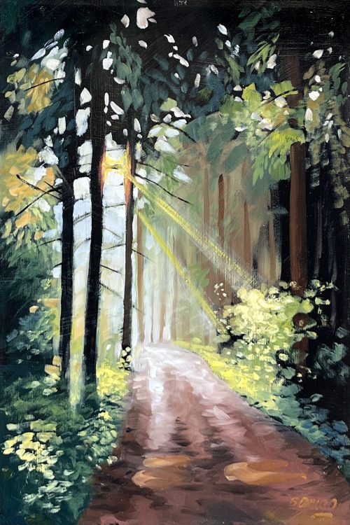 Sweet Morning Trail by Bob Arrigo