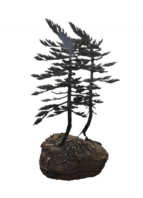 Windswept Pines (two) On Stone by Cathy Mark