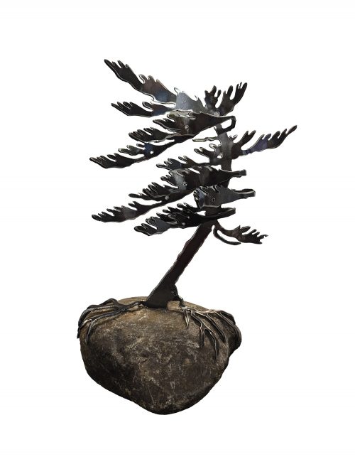 Windswept Pines (single) On Stone by Cathy Mark