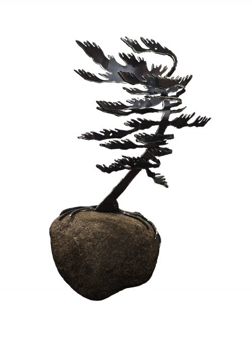Windswept Pines (single) On Stone by Cathy Mark