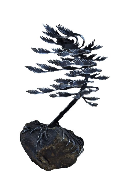 Windswept Pines (single) On Stone by Cathy Mark