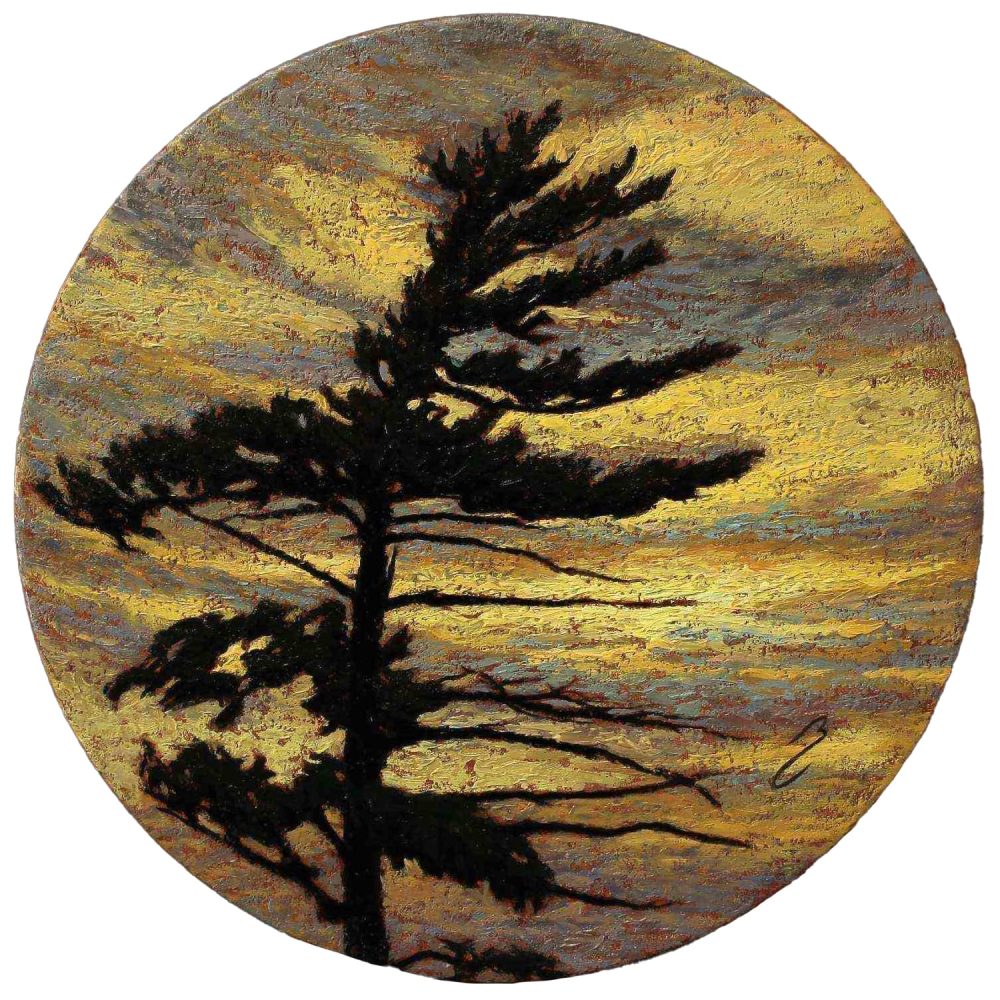Algonquin Pine by Bruno Capolongo