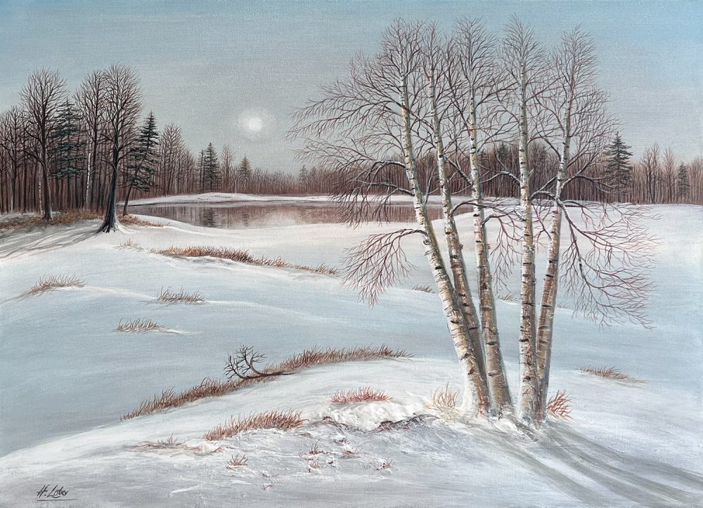 Calm Winter's Day by Henri Lobo