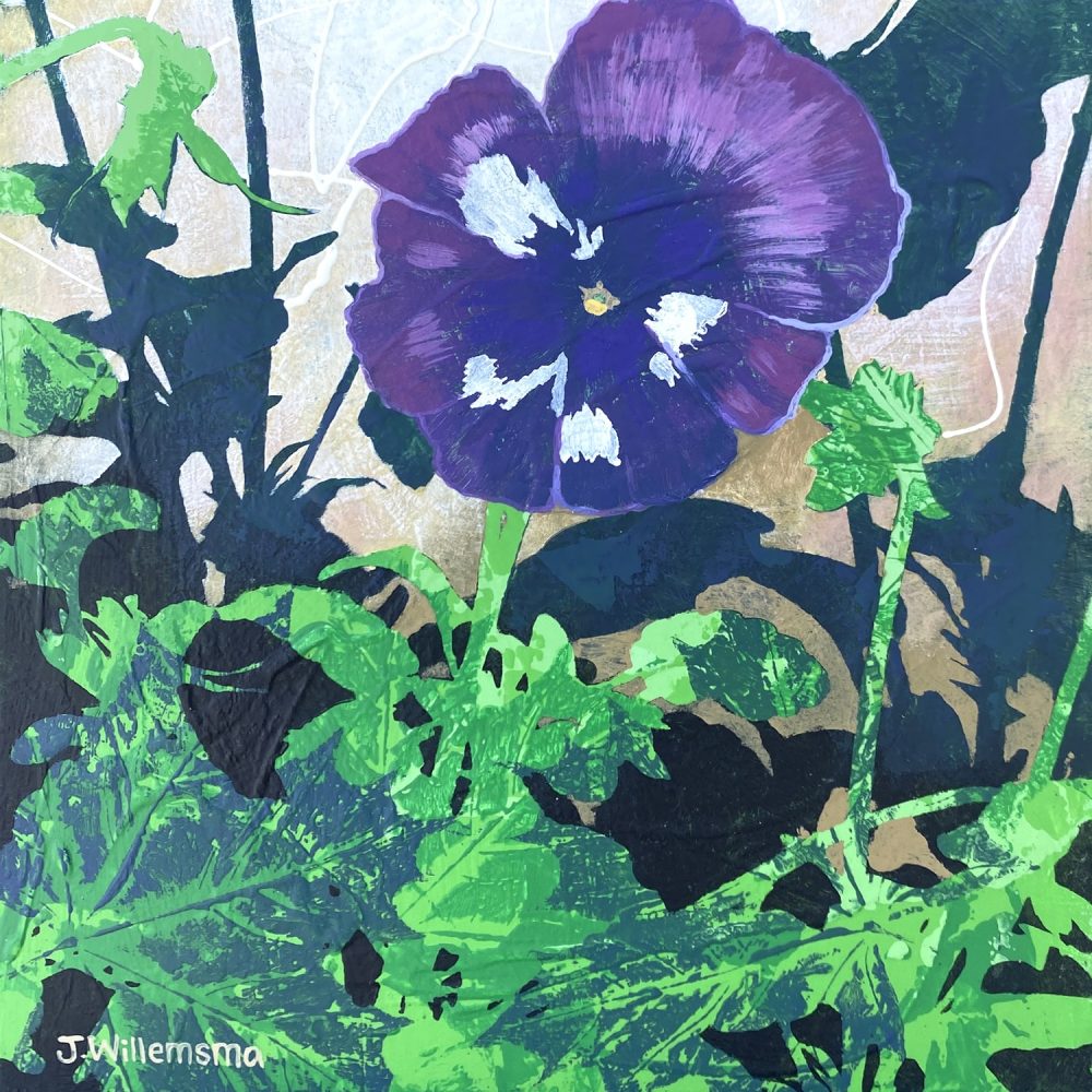 Pansy 1 by Judy Willemsma