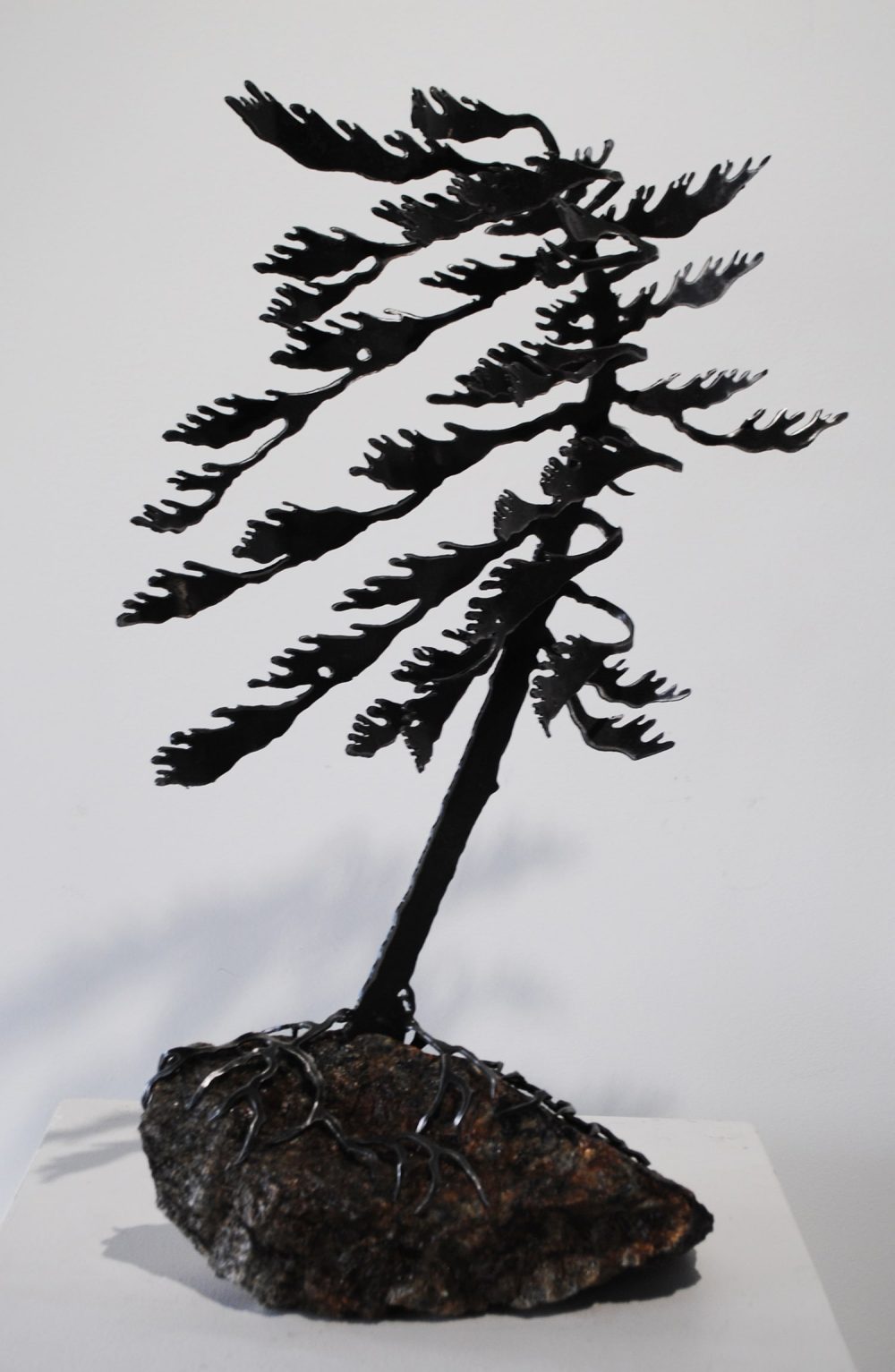 Windswept Pine (one) On Stone by Cathy Mark