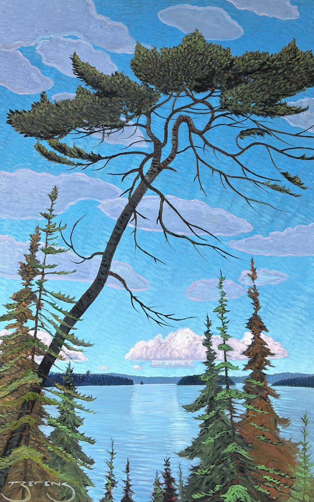 Buffalo Point Pine by Mark Berens