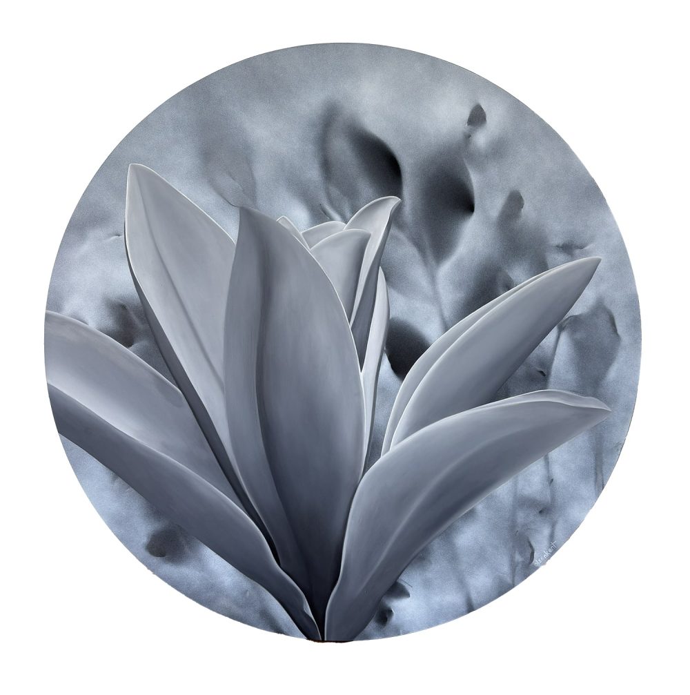 Where Stillness Blooms by Leah Olsen-Kent