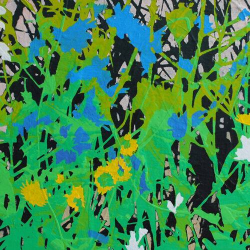 Judy Willemsma