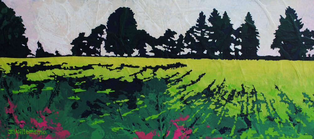 Canola Field by Judy Willemsma