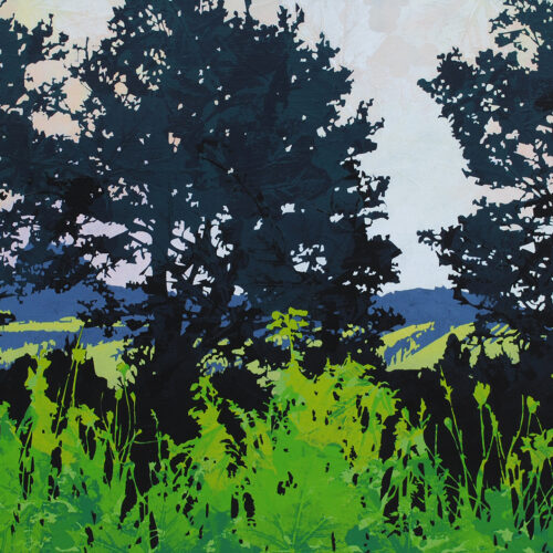 Judy Willemsma