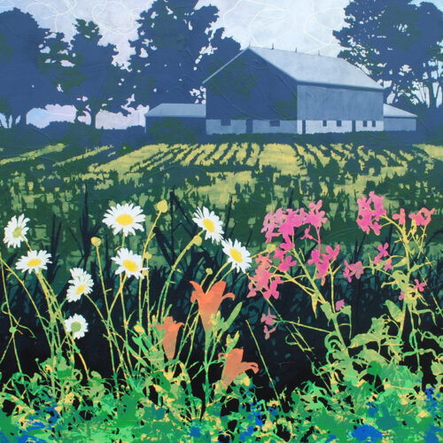 Judy Willemsma