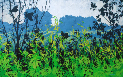 Field, Divided by Judy Willemsma