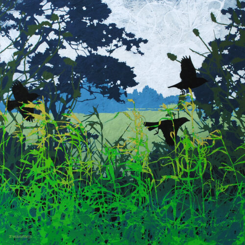 Judy Willemsma