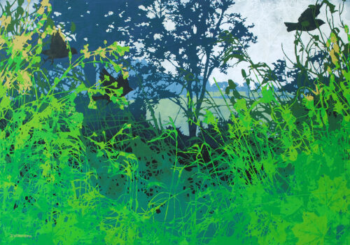 Foreground, Untamed by Judy Willemsma