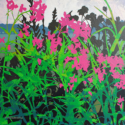 Phlox, Influx I by Judy Willemsma