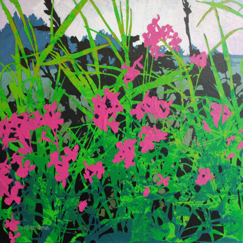 Phlox, Influx Ii by Judy Willemsma